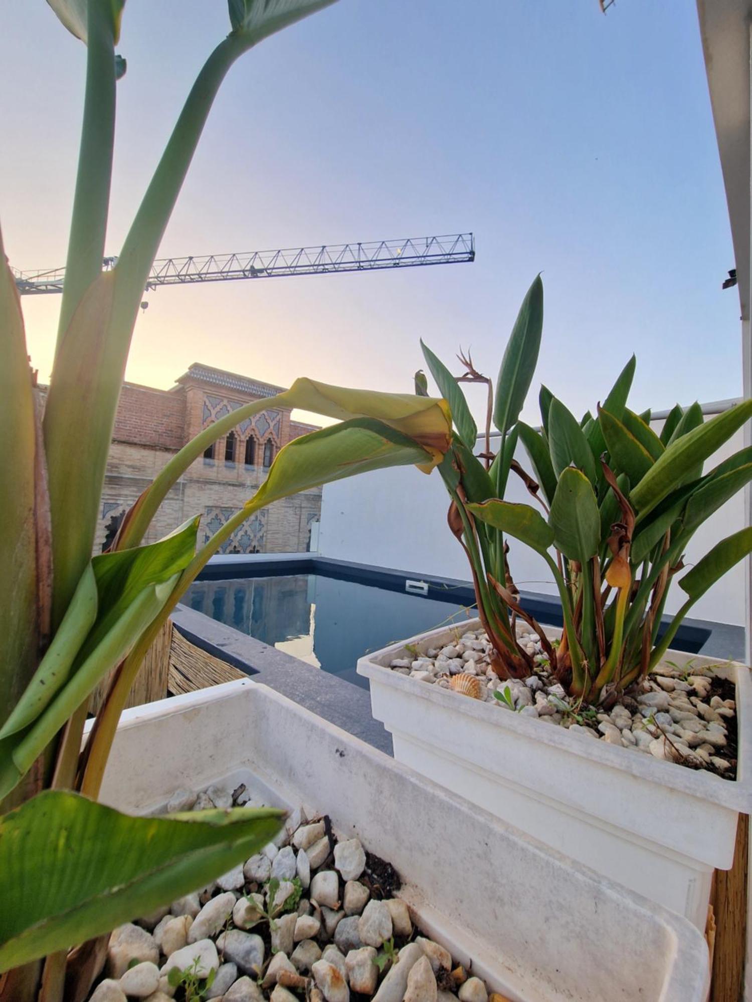 Hotel Y Apartamentos Dona Lola Seville Exterior photo